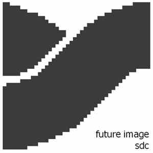 Future Image - SDC mp3